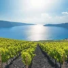 3 Hours Private Wine Tour in Santorini